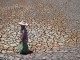 アジア各国で相次ぐ干ばつによる農業被害