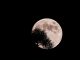 オランダ：火星・月の土壌における栽培実験、その研究結果とは